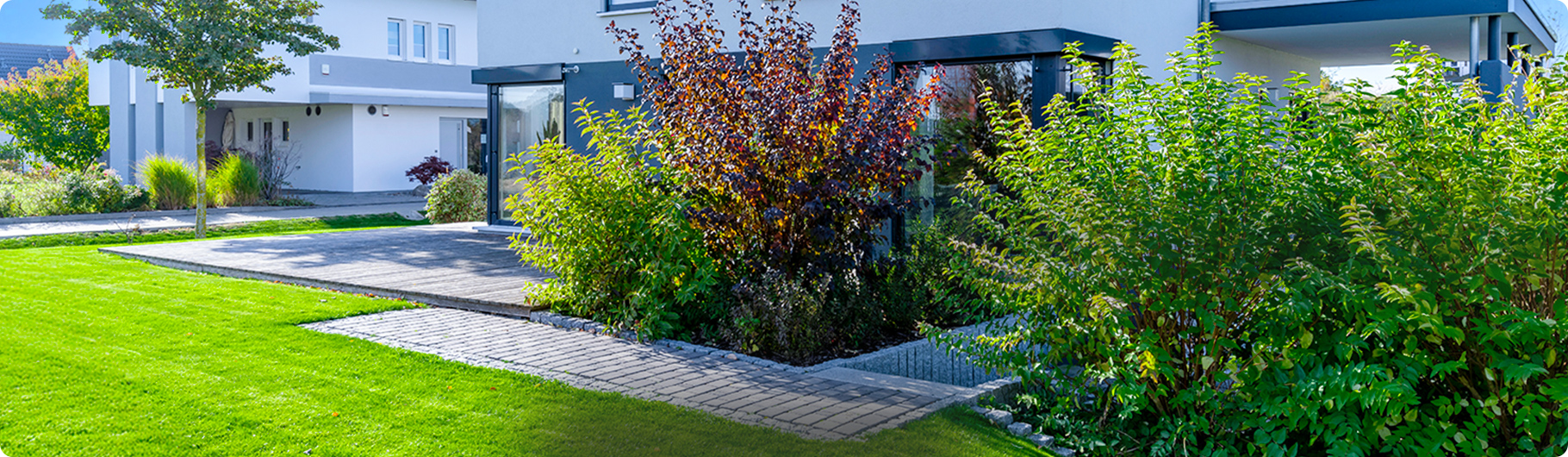 株式会社Lien MV画像